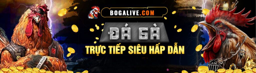 Tại Sao bogalive.com Là Trang đá gà Thomo uy tín Hàng Đầu Khu Vực Châu Á 2025?