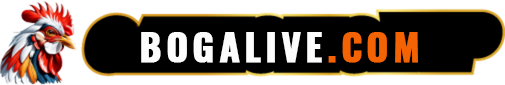 Bogalive.com